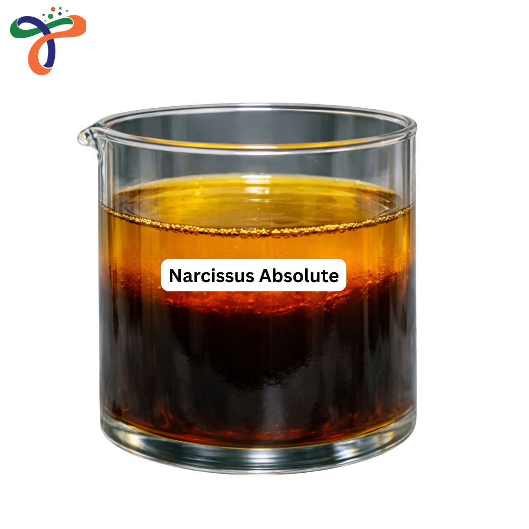 Narcissus Absolute